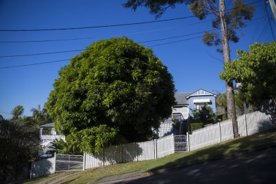 'Watered down': Queensland's new laws could see some landlords sell