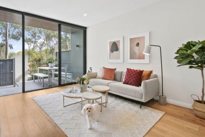 Pets in rental properties: How the rules differ around Australia