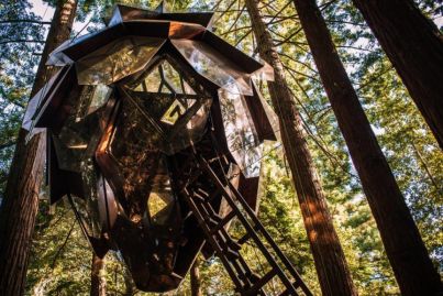 Pinecone treehouse for sale is the ultimate nature escape