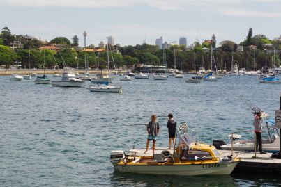 What makes Rose Bay one of Sydney's most exclusive neighbourhoods