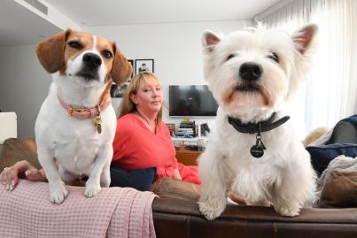 This apartment block looked pet-friendly, but there was a catch