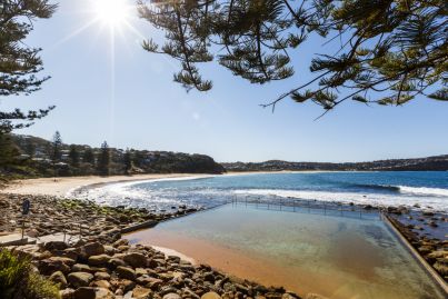 'A forest with houses in it': What it's like to live in Macmasters Beach