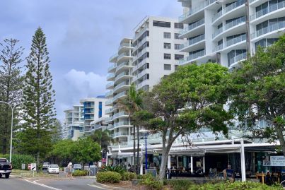 Green shoots start to appear on Sunshine Coast