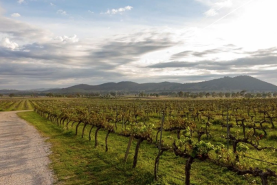 Live the dream: Five wineries for sale right now