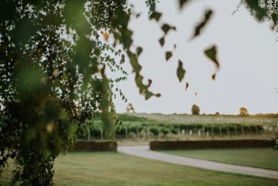 Nice drop: Five idyllic wineries for your 2021 tree change