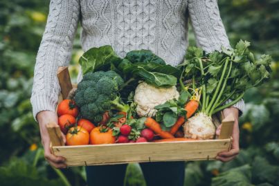 How to build a veggie garden in your Canberra home this winter