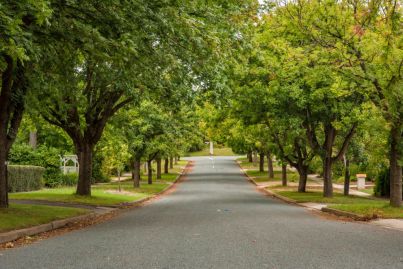 The charming Canberra suburb with a diplomatic and political image