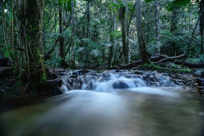 From waterfall to water bottle: A tranquil rainforest retreat with a lucrative side hustle