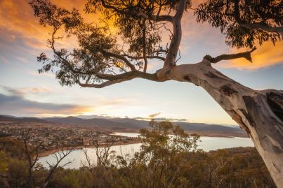 Jindabyne: The Snowy Mountains town where median house prices are soaring