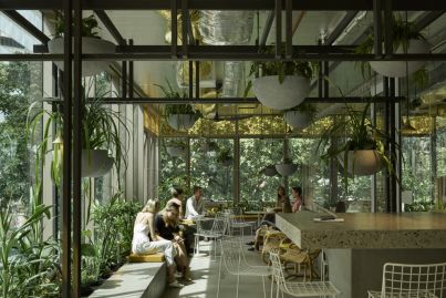 Why biophilia is leading the way when it comes to office design