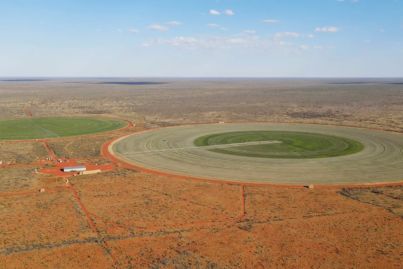 NT hay and cattle farm sold to Pickersgill family for $30m