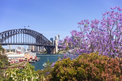 Want to live with a view of the Sydney Harbour Bridge? Expect to pay at least $600,000 for an apartment