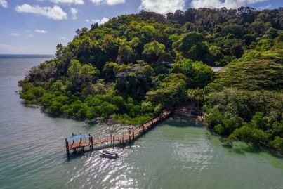 So, you want to be a cattle baron with a fancy tropical fishing lodge?