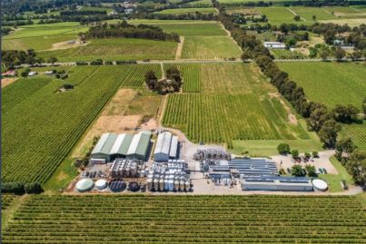 Organic South Australian winery ready for new owners