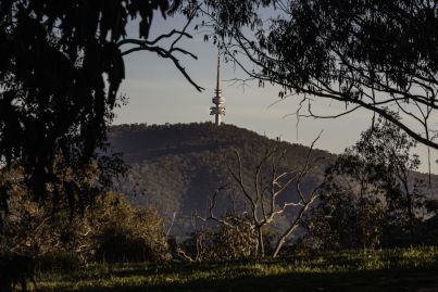 The lush Canberra suburb at the heart of it all