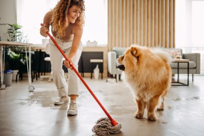Cleaning, organising and pet grooming: How to turn your household habits into profit