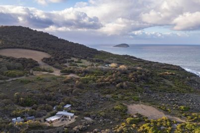 Blink and you'll miss this incredible hidden home for sale in Tasmania