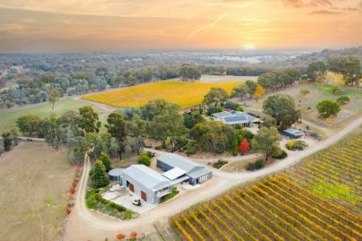 6 Australian vineyards (and a microbrewery) for sale right now