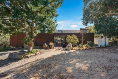 Award-winning Cannibal Creek Vineyard on the market