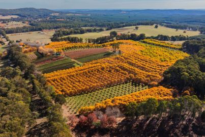 These high-production orchards across Australia are seeking new caretakers