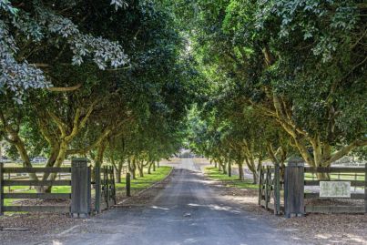 A polo estate with big lifestyle appeal near Sydney