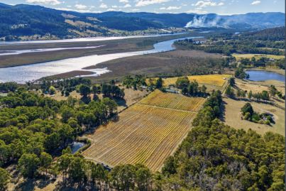 6 Australian vineyards (and a microbrewery) for sale right now