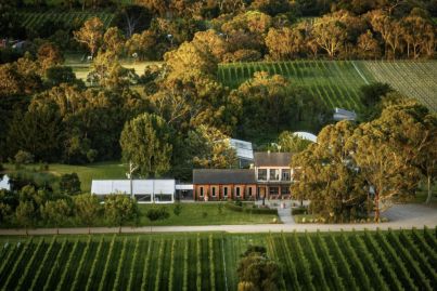 Uncork your potential: 8 Australian vineyards for sale now