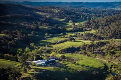 High-yield olive and grazing farm for sale