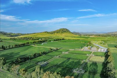 Hunter Valley’s elite stud farm is listed for sale