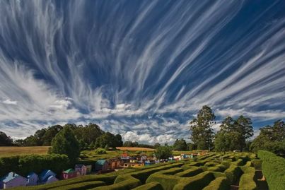 A-maze-ing opportunity: Tasmazia up for sale after 40 years