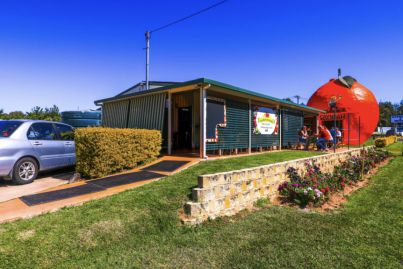 Queensland’s Big Orange landmark hits the market