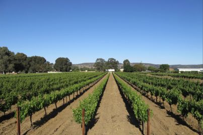 7 commercial properties for a complete lifestyle change