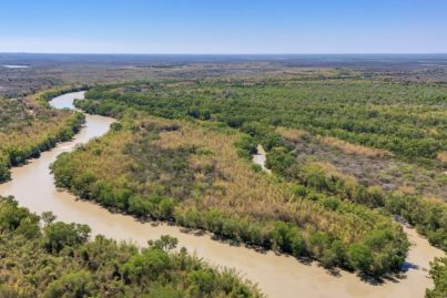 Goat Island in the NT attracts crocs and buyer interest