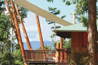 Treetop empire: 12 bespoke rainforest villas with approved expansion, $800k revenue