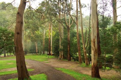 'Staying power': This $1.45m Gippsland tree-change escape is up for sale