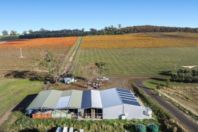 Macedon Ranges’ biggest vineyard hits the market for $3.5m+