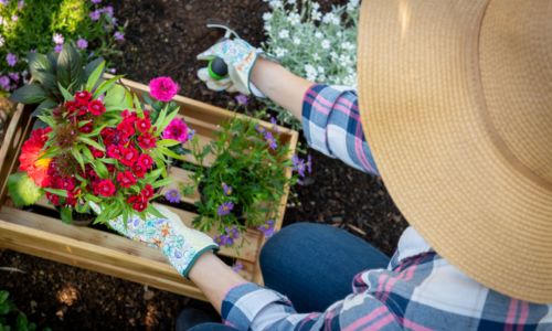 Four simple ways to liven up your outdoor living space