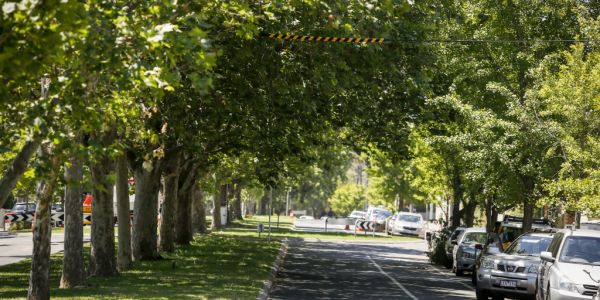 Melbourne S Leafy Suburbs Not Always Best For Open Space Study Finds