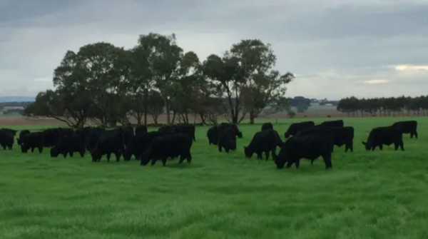 Drought, more listings to dampen farmland growth