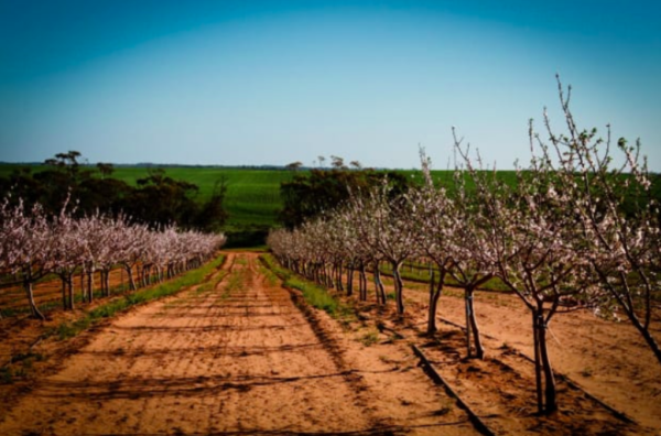 Foreign investment in farmland
