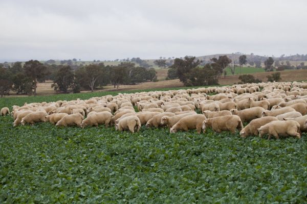 Historic farm for sale for first time since 1865