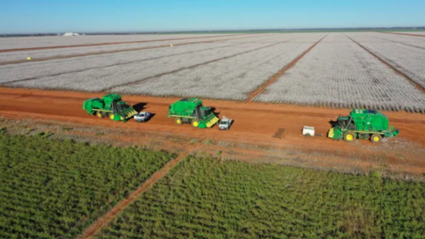 Harvard offloads cotton and almond farms for $120m