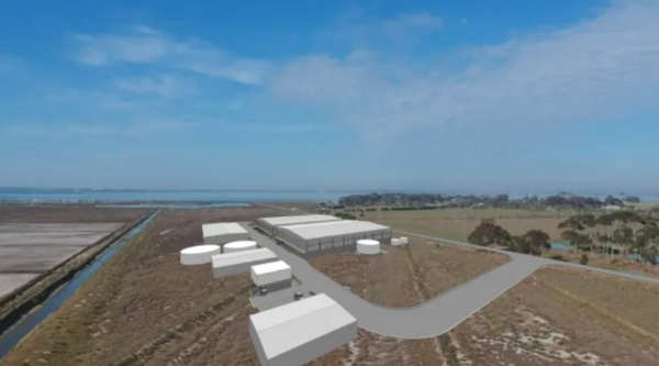 Land-based Avalon fish farm seeks $65 million capital