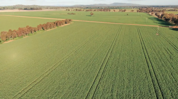 Farmers buy back Riverina holding from US fund