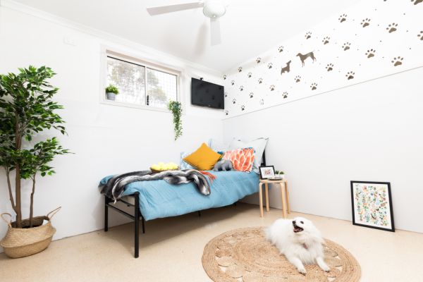 Anything but ruff: The five-star pet hotels treating our furry friends like royalty