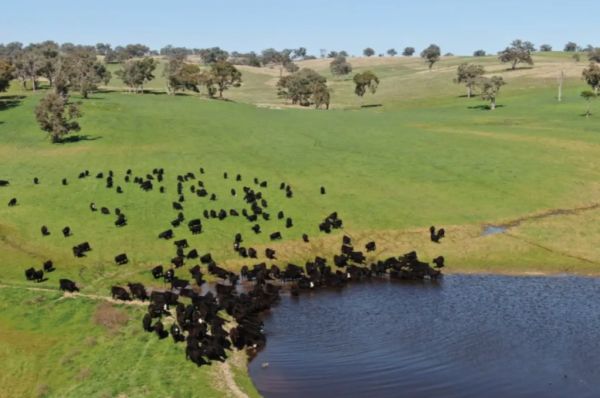 Strong demand for $10m-plus farmland as spring listings build