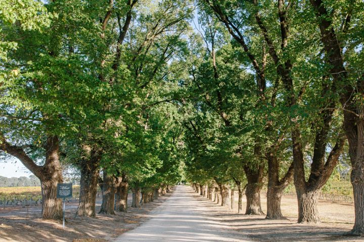 Rutherglen: The quiet achiever of Victorias wine regions