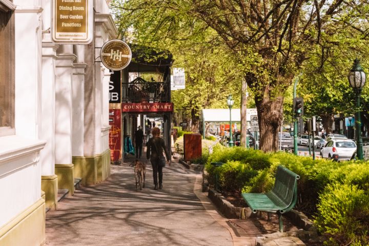 Wineries, cheese temples, gin bars and native animals: Welcome to Healesville