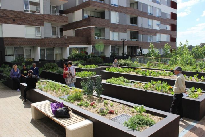 Community farms and veggie gardens are adding value to new housing ...