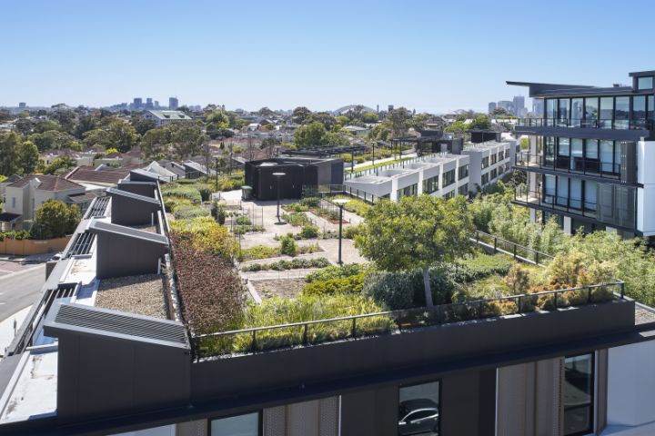 Community farms and veggie gardens are adding value to new housing ...